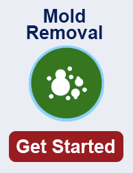 mold remediation in Overland Park TN